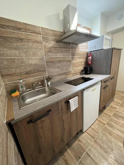 Superbe Appartement A 15 Min De Lyon Saint-Fons Dış mekan fotoğraf